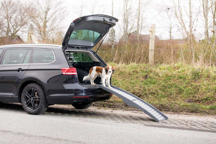 TRIXIE 3-fach Klapp-Rampe